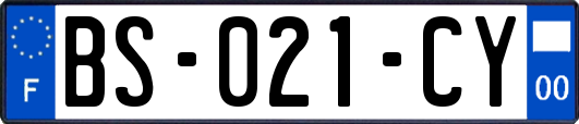 BS-021-CY