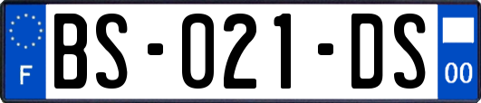 BS-021-DS