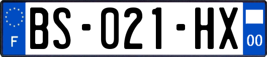 BS-021-HX