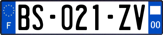 BS-021-ZV