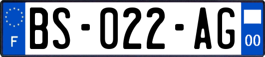 BS-022-AG