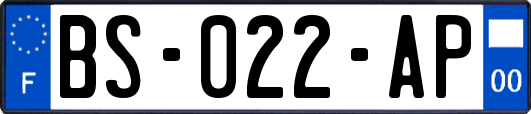 BS-022-AP