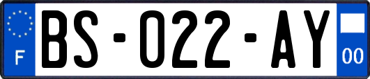 BS-022-AY