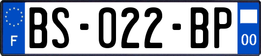 BS-022-BP