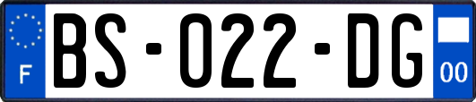 BS-022-DG