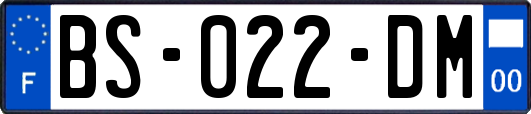 BS-022-DM