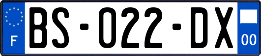 BS-022-DX