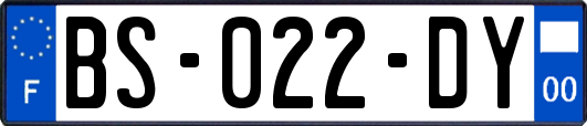 BS-022-DY