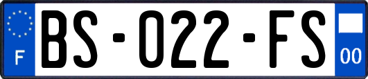 BS-022-FS