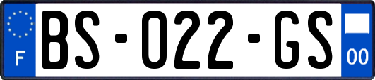 BS-022-GS