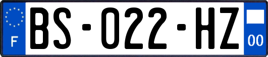 BS-022-HZ