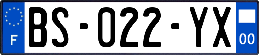 BS-022-YX