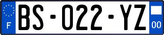 BS-022-YZ