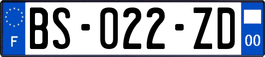 BS-022-ZD
