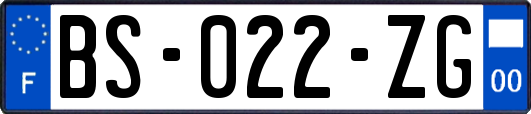 BS-022-ZG