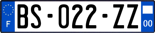 BS-022-ZZ