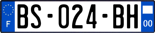 BS-024-BH