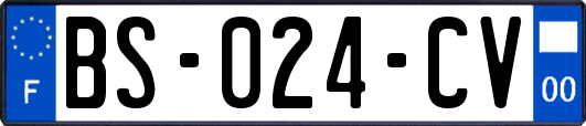 BS-024-CV