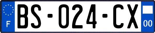 BS-024-CX