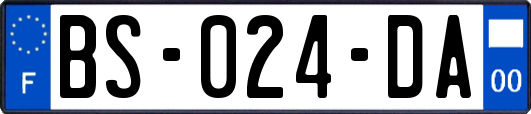 BS-024-DA