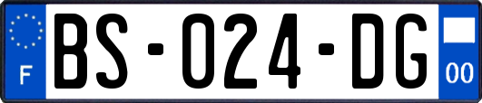 BS-024-DG