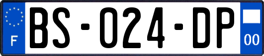 BS-024-DP