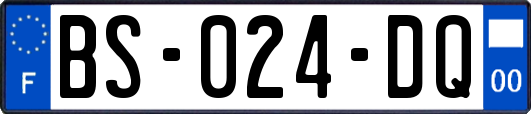 BS-024-DQ