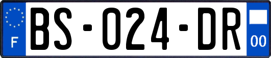 BS-024-DR