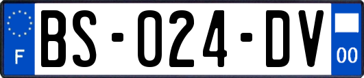 BS-024-DV