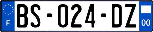 BS-024-DZ