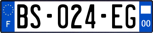 BS-024-EG