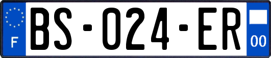 BS-024-ER