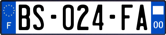 BS-024-FA