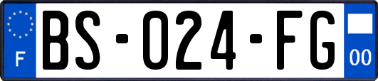 BS-024-FG