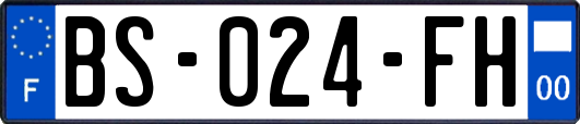 BS-024-FH