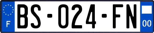 BS-024-FN