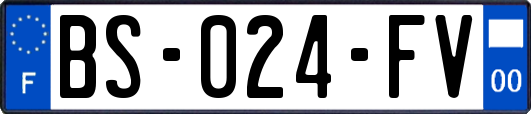 BS-024-FV