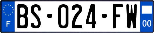 BS-024-FW