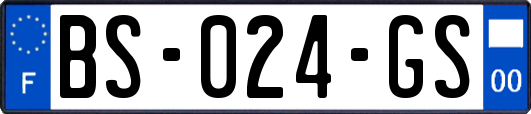 BS-024-GS