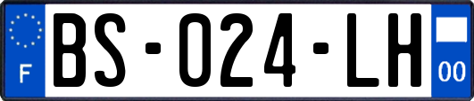 BS-024-LH