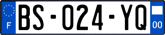 BS-024-YQ