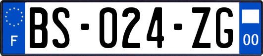 BS-024-ZG
