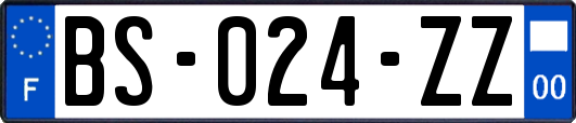BS-024-ZZ