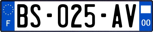 BS-025-AV