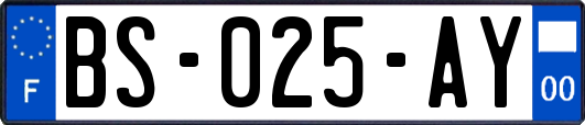 BS-025-AY