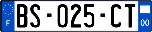 BS-025-CT