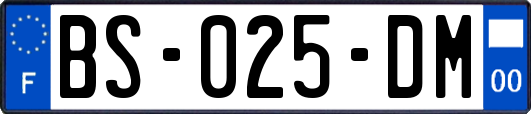 BS-025-DM