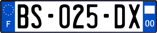 BS-025-DX