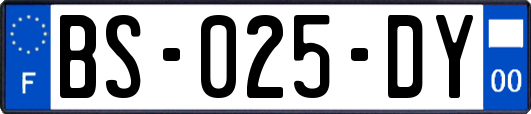 BS-025-DY