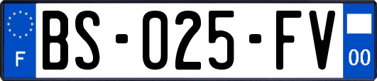 BS-025-FV